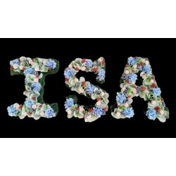 🌺​🌼​🌹​nombre,  flores preservadas, regalo, duracion eterna