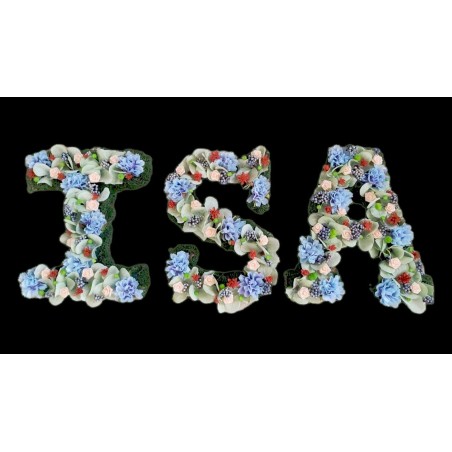 🌺​🌼​🌹​nombre,  flores preservadas, regalo, duracion eterna