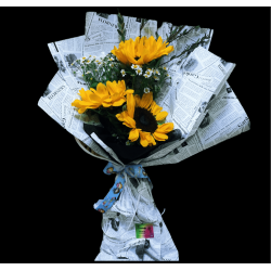 girasol, verano, energia, flor de temporada, envio a domicilio, floristeria la aljorra