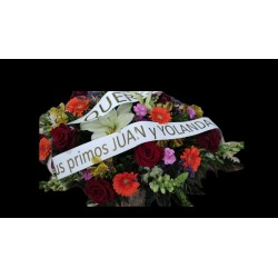 copy of PALMA FÚNEBRE TE QUEREMOS