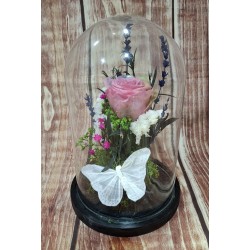 Encanto bajo cristal