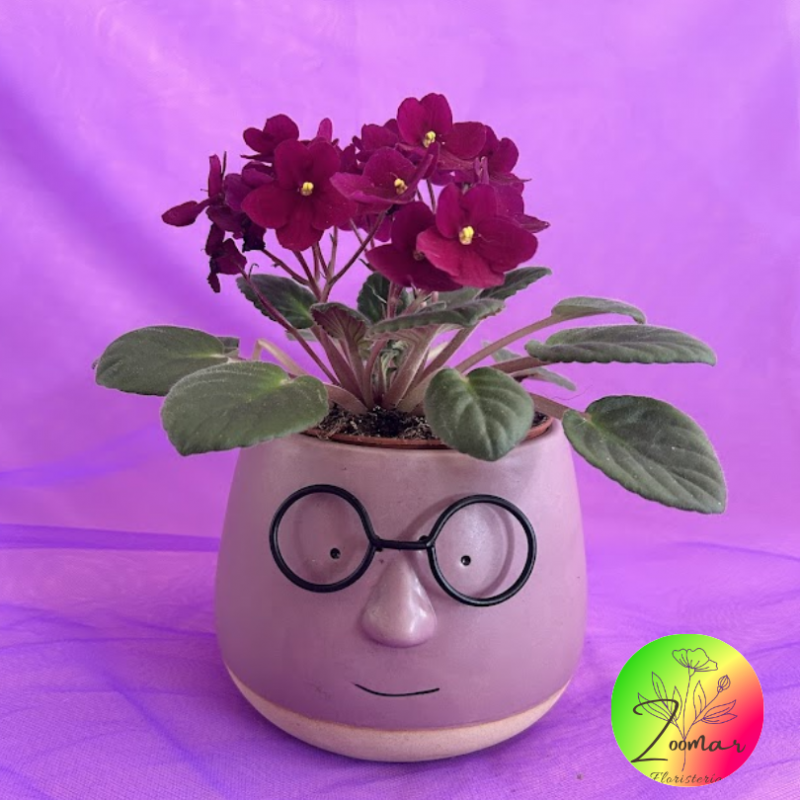 EL MACETERO DE LA MUJER