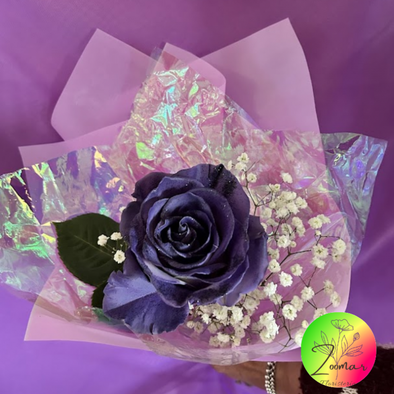 UN TRIBUTO A LA MUJER