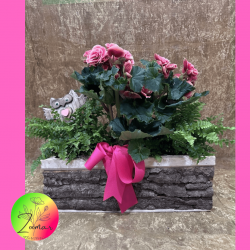 Pequeño bosque para mamá