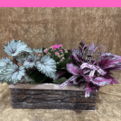 Pequeño bosque para mamá