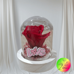 mini cupula san valentin