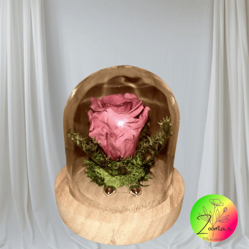 envios a toda españa 24/48h