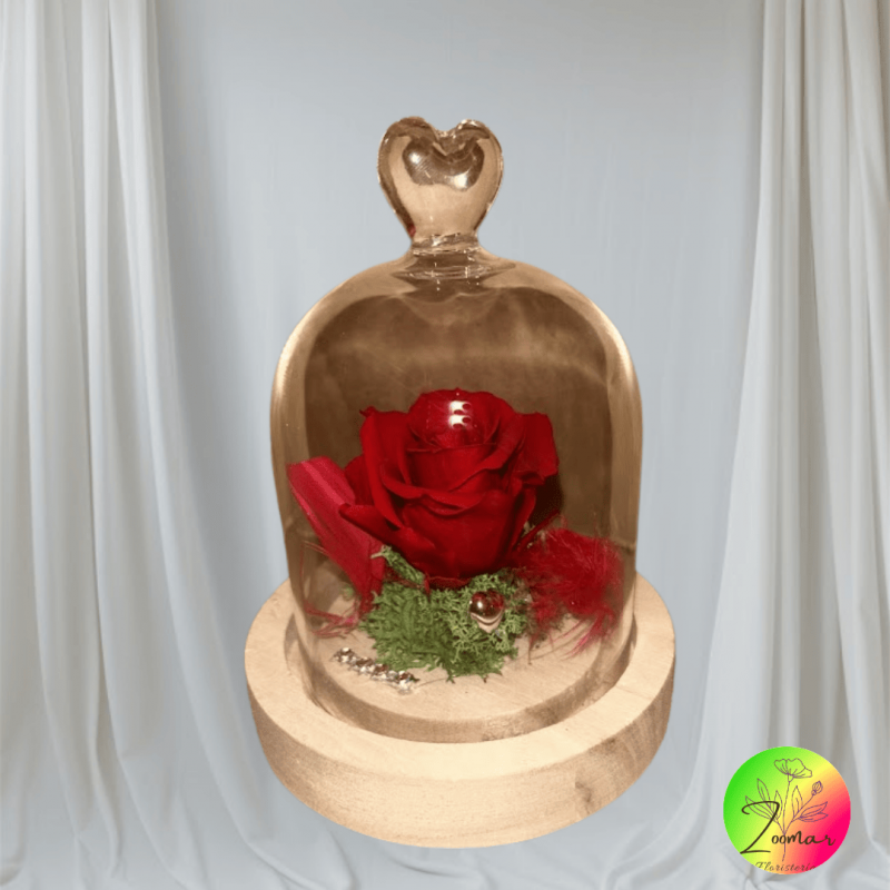 envios a toda españa