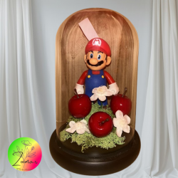 cupula mario bross